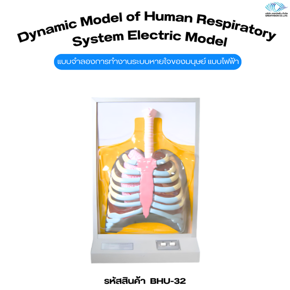 แบบจำลองการทำงานระบบหายใจของมนุษย์ แบบไฟฟ้า  Dynamic Model of Human Respiratory System Electric Mode